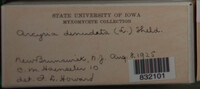 Image Associated With the Occurence